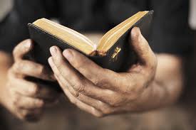 bible in hands