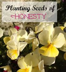 seeds of honesty