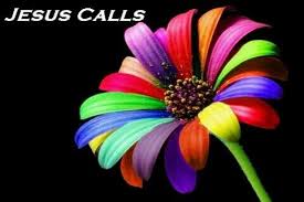 jesus calls flower