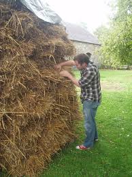 watch in haystack