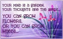 garden of thoughts