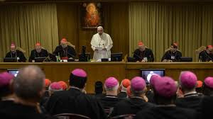francis synod final briefing