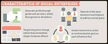 social enterprise characteristics