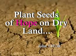 evangelism plant seed of hope